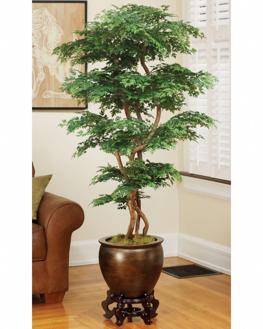 Silk Pagoda Ming Aralia