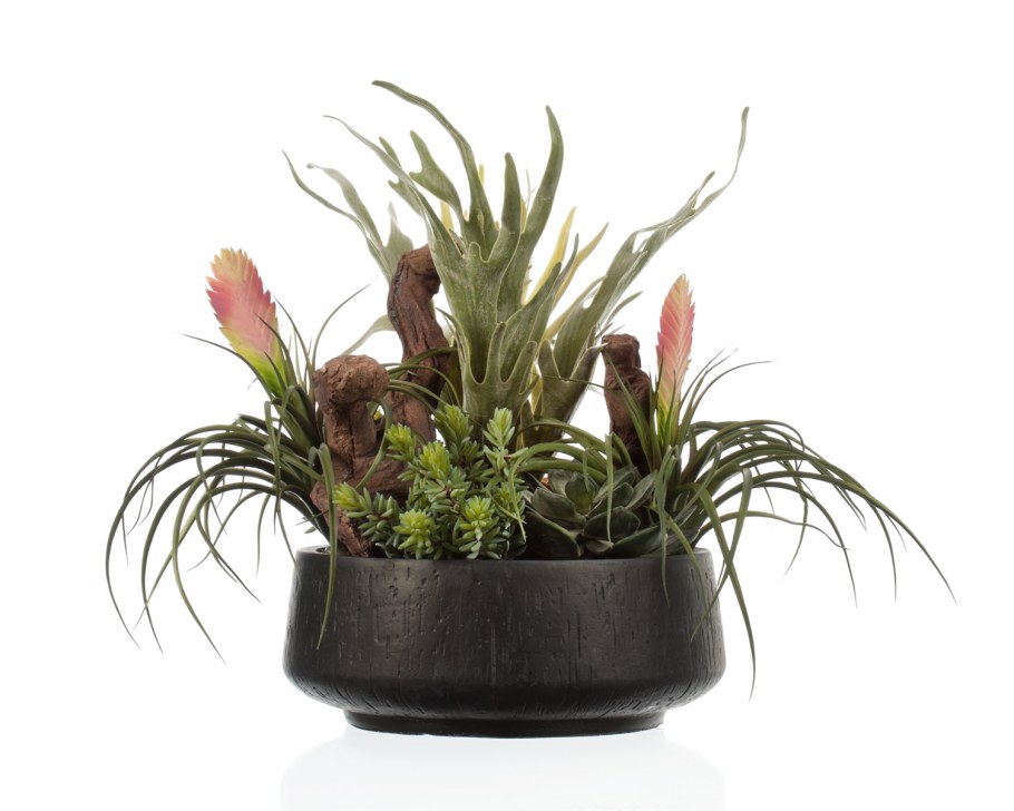 Композиции из растений в горшках