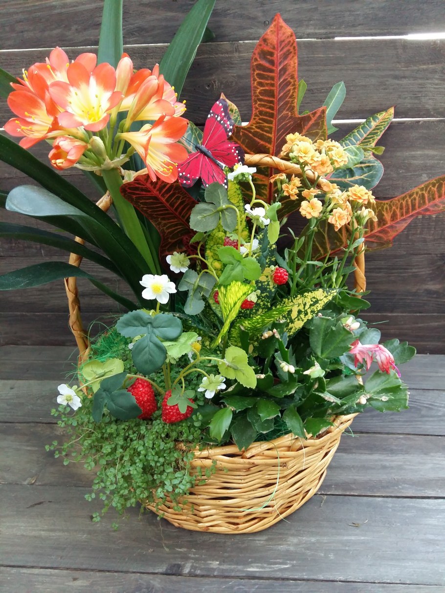 Пот-э-Флер Цветущий горшок