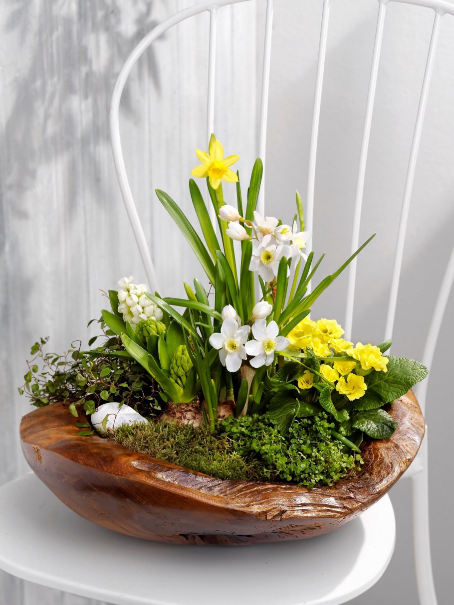 Цветочные композиции в горшках