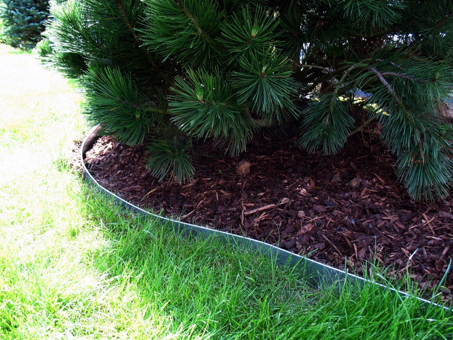 Бордюрная лента вокруг кустарника