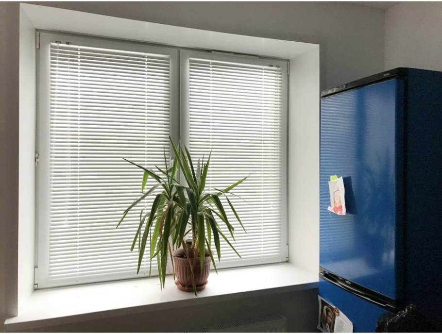 Окна белые жалюзи цветы