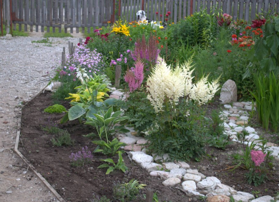 Рабатки миксбордеры