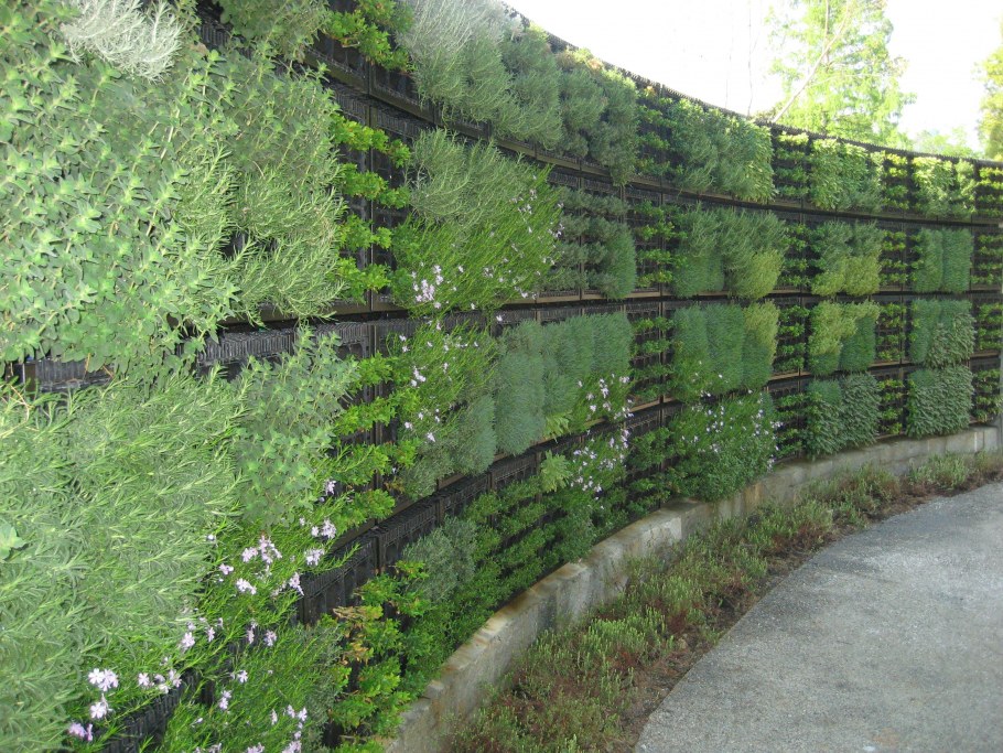 Еврогрядка 600 из ДПК 600х75 см