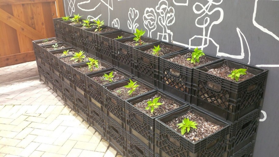 Ограждение для клумбы из пластиковых ящиков