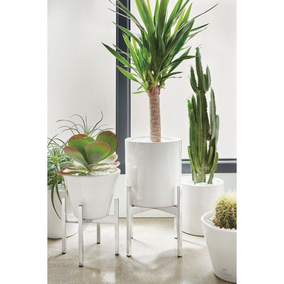 Белая кухня с растениями