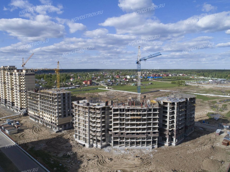 Утки в Лукино Варино