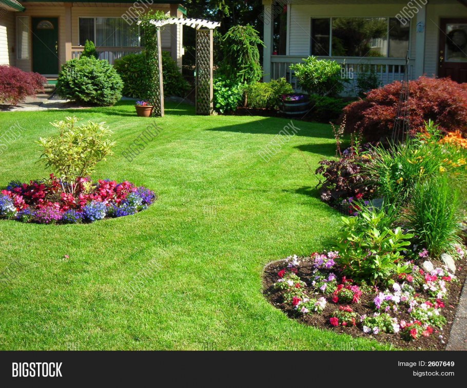 Цветник на 6 сотках