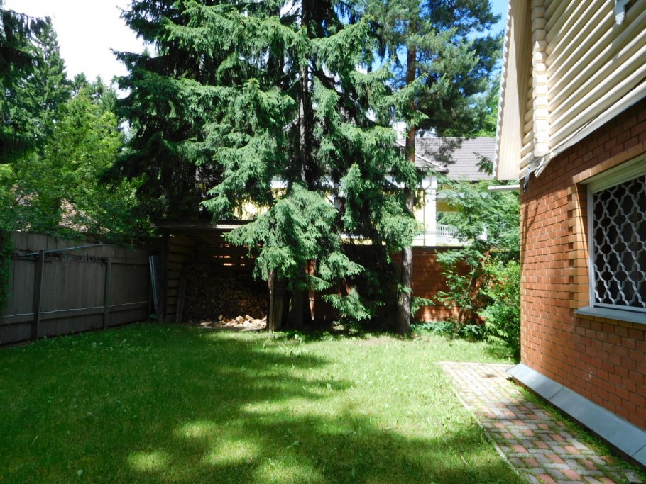 Лесное озеро Раменский район