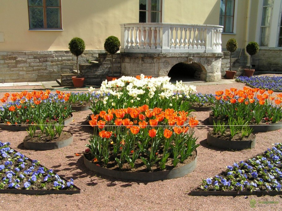 Сибирский палисадник