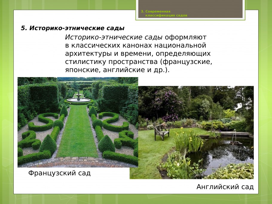 Типы озеленения