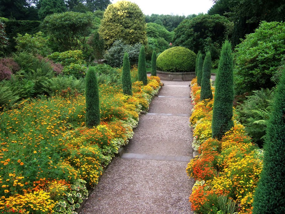 Композиция лимонная в саду