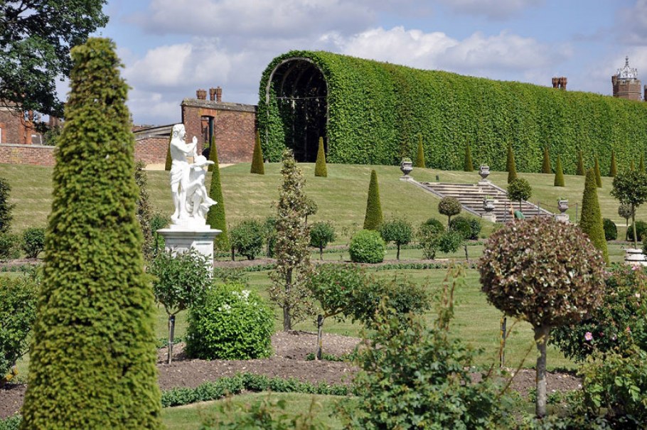 Английский розарий в пейзажном стиле