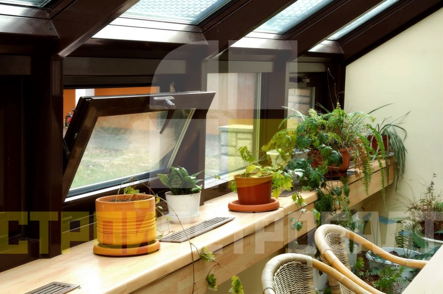 Тропические растения в интерьере