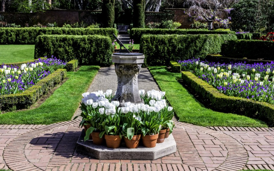 Арабеска цветник схема