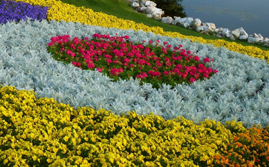 Клумба из однолетних цветов