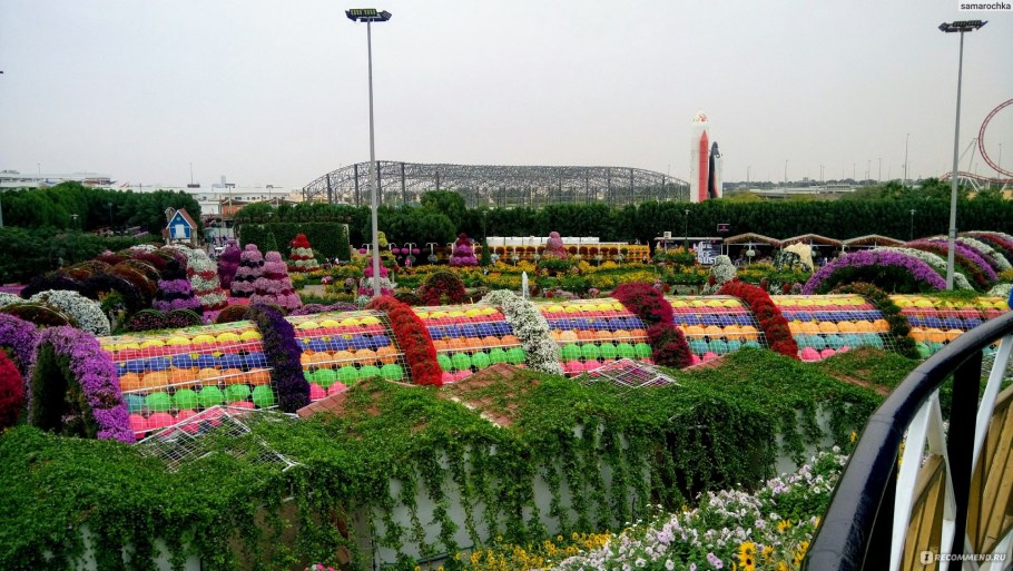 Партер схема ландшафт