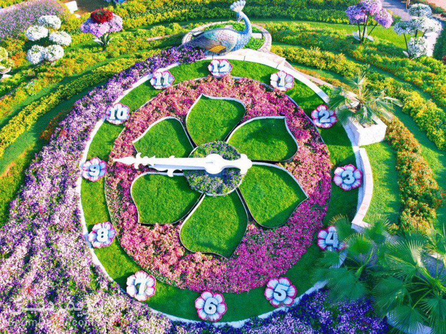 Miracle Garden с высоты птичьего полёта