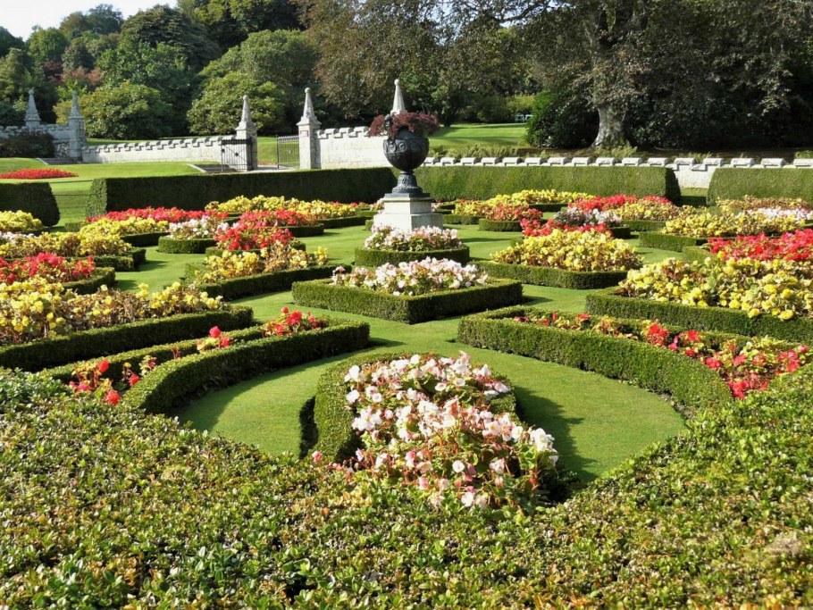 Цветочная клумба вид сверху