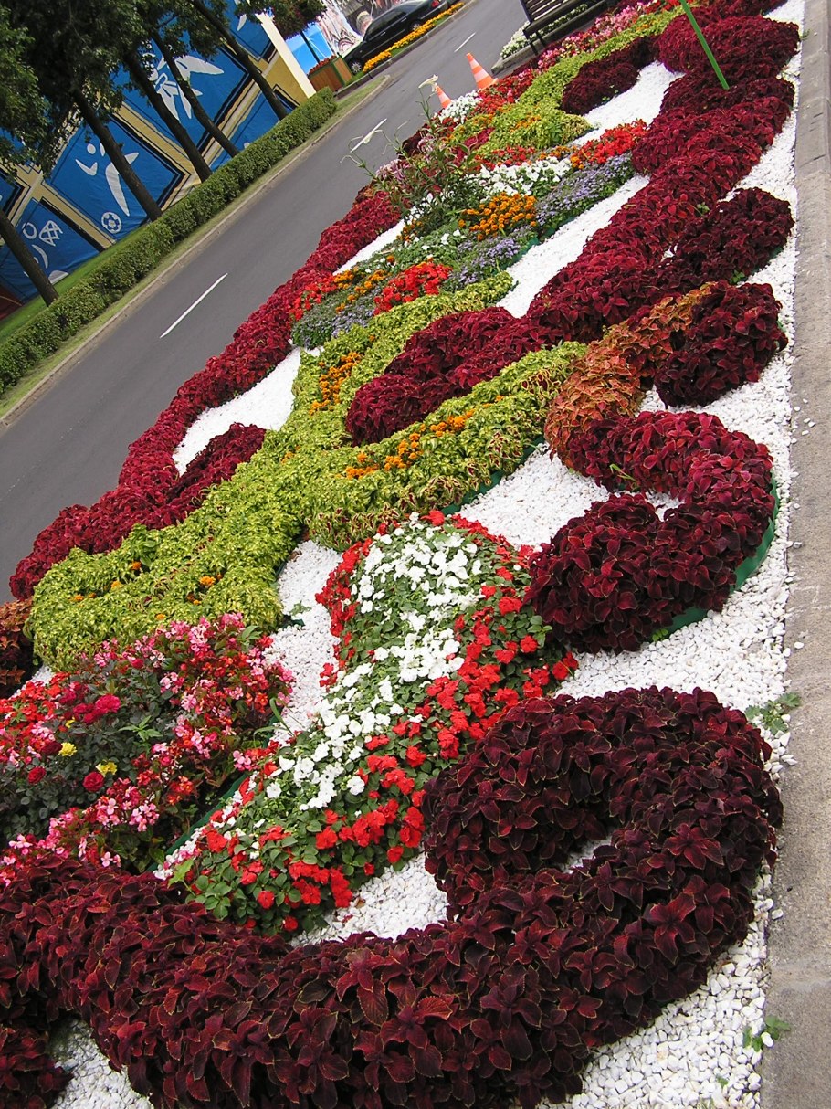 Какой Тип цветника Арабеска