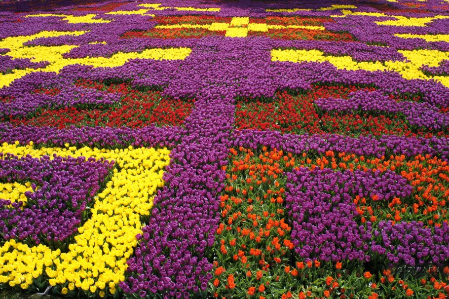 Императорский парк клумба