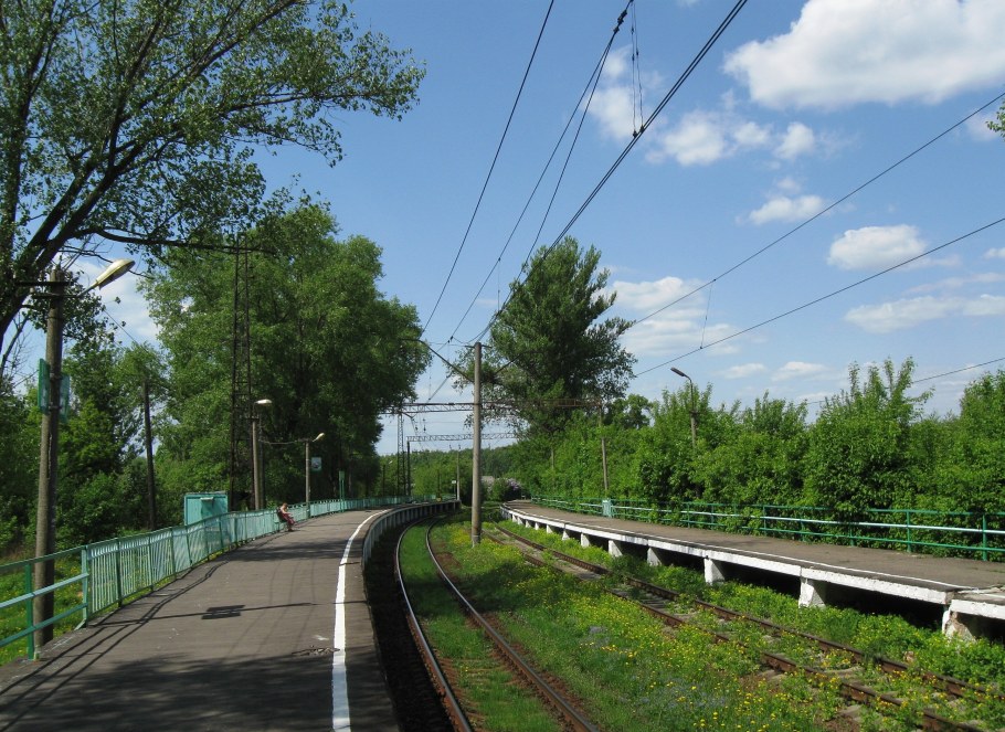 Платформа Ромашково Одинцовский район