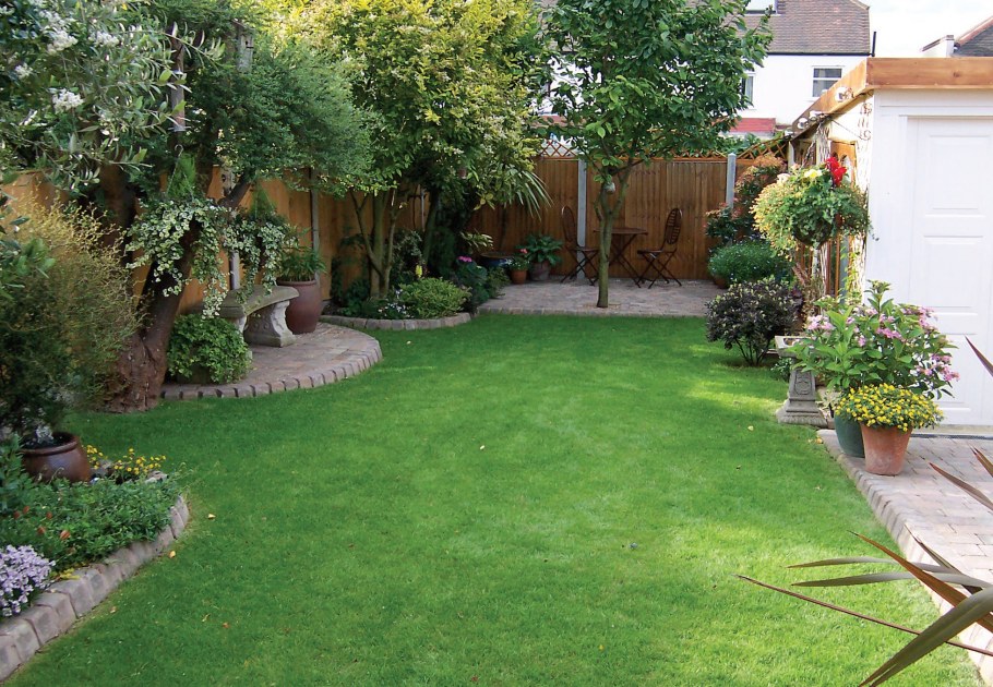 Газон на маленьком участке