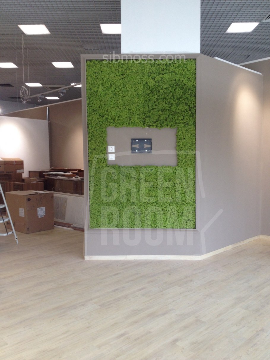 Комната с зелеными акцентами