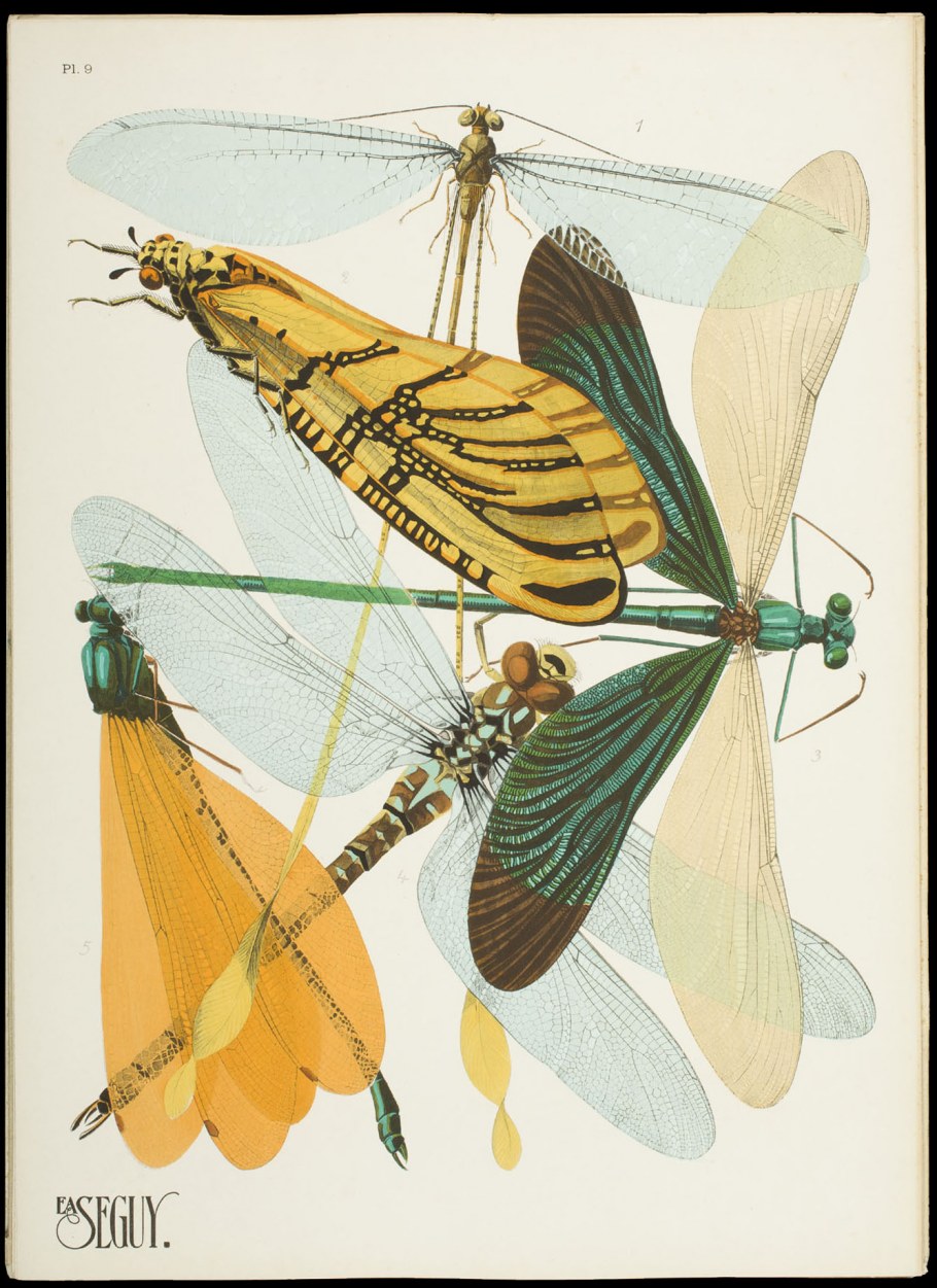 Композиция из насекомых