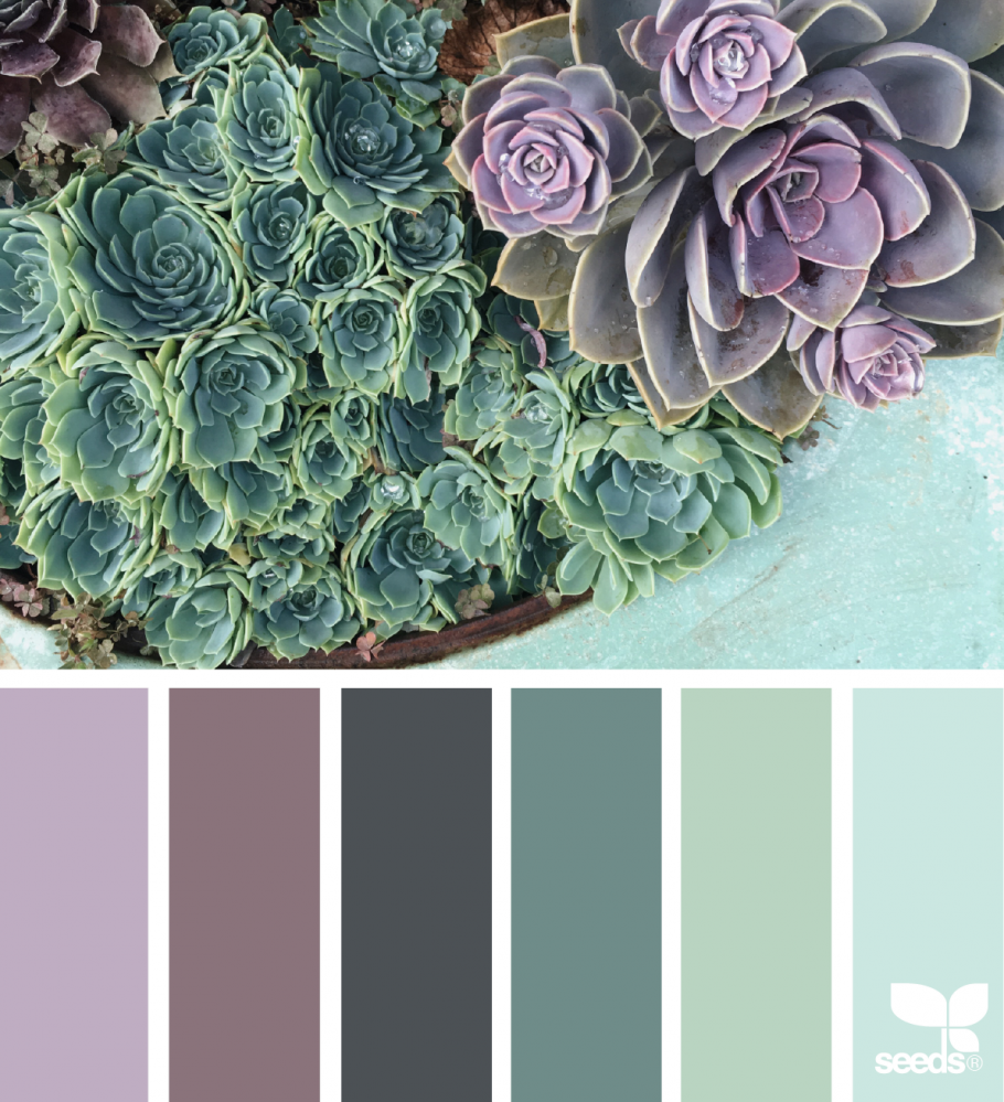 Seeds Color Palette изумрудный