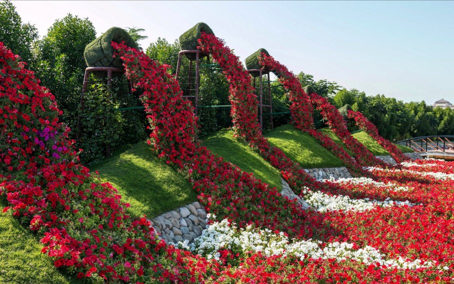 Miracle Garden Дубай