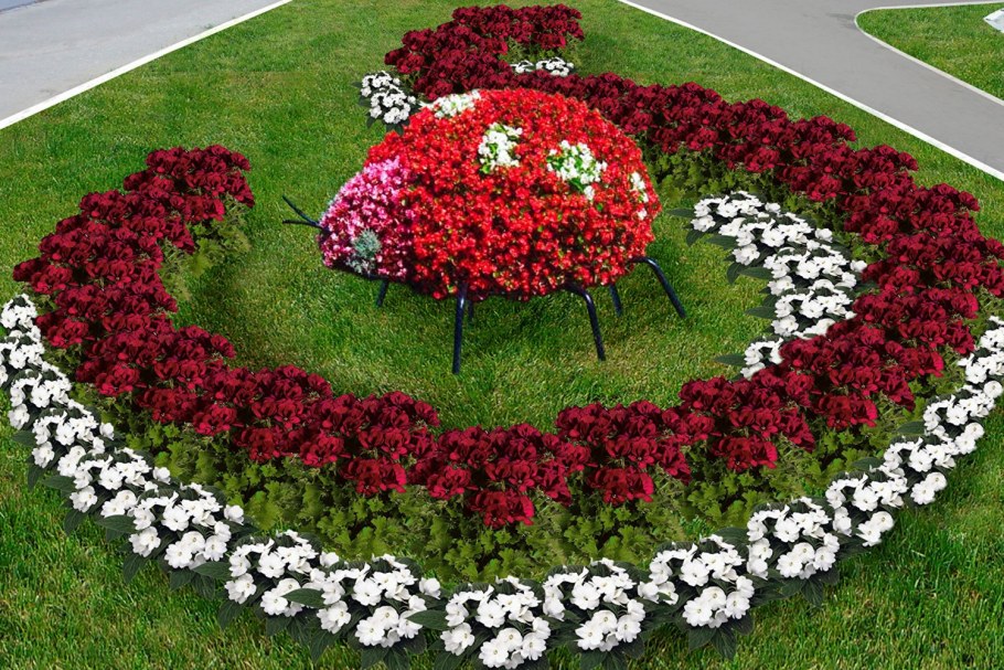 Клумба с цветами