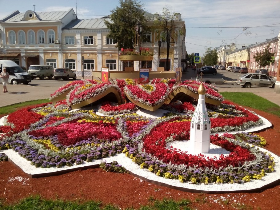 Анютины глазки на клумбе