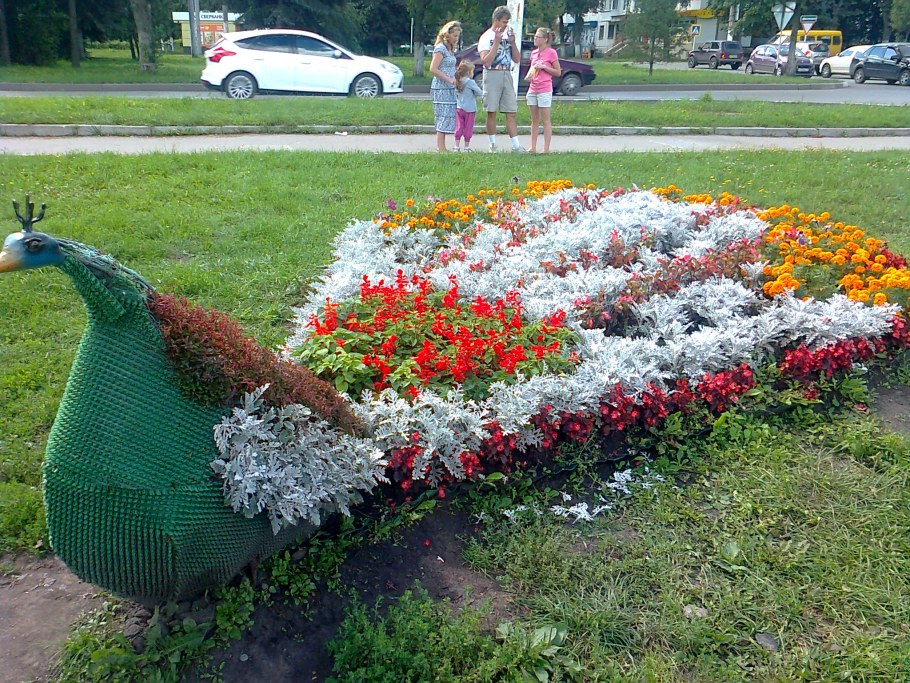 Клумба павлиний хвост
