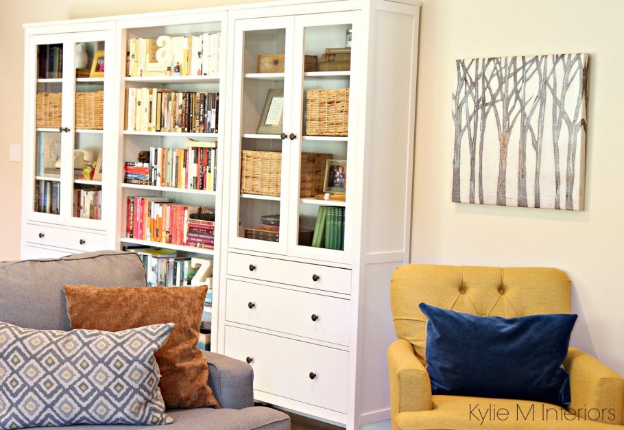 Гостиная с книжными полками