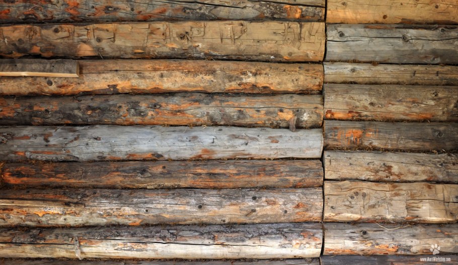 Бревенчатая стена