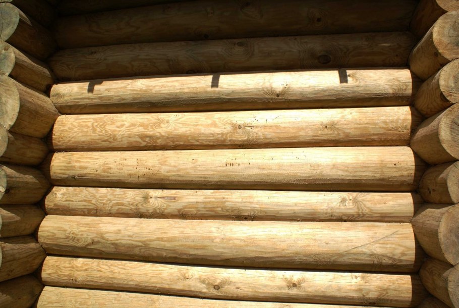Текстура бревна