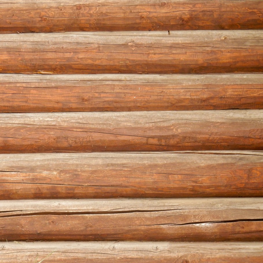 Текстура дерева