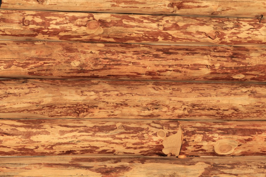 Деревянные доски текстура