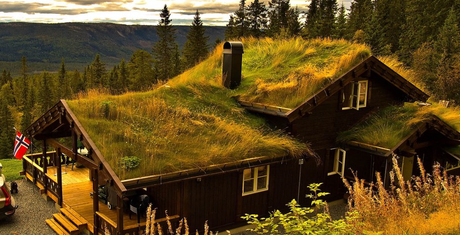 Сканди дом с травяной крышей