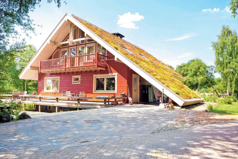 Зеленые крыши в Швеции