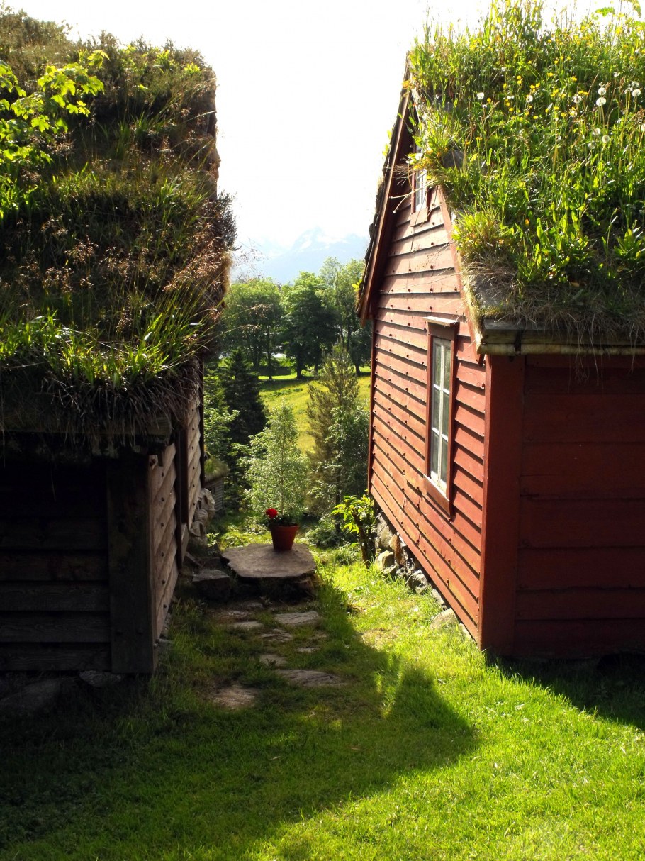 Дерновая Норвежская кровля