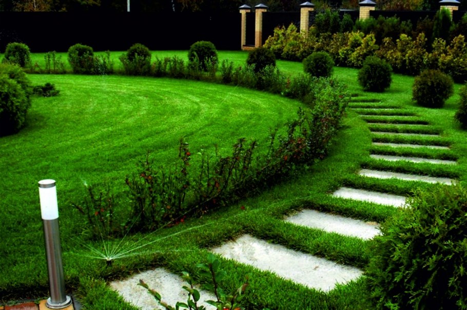 Газонный Солитер