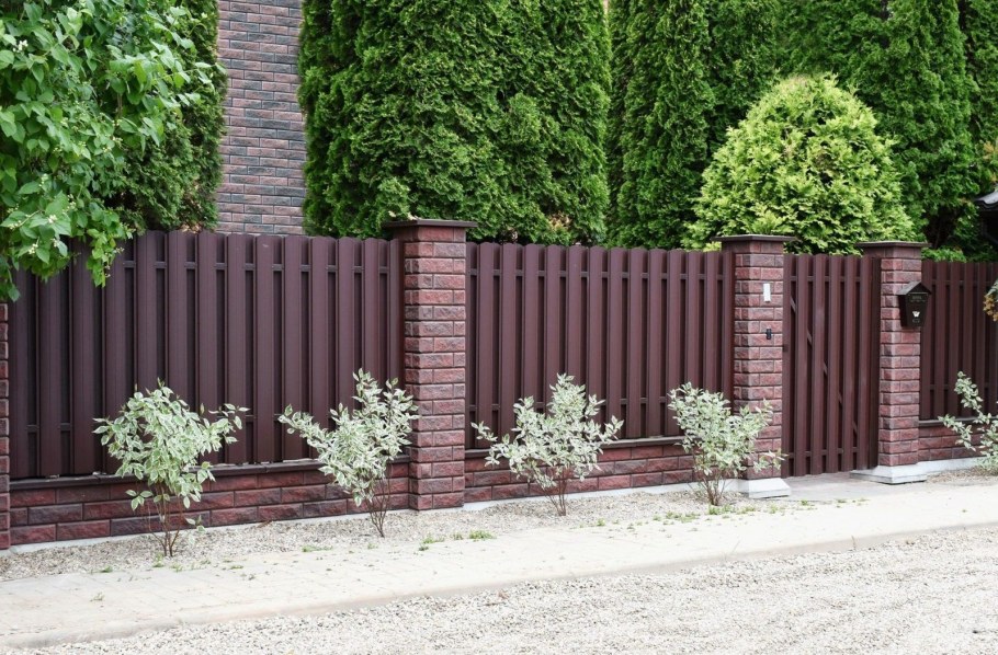 Забор БРИКС