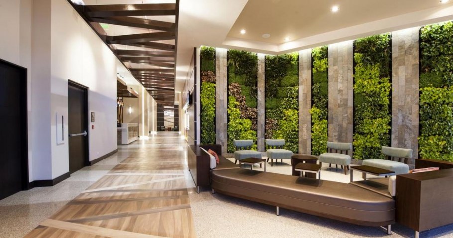 Озеленение в интерьере гостиниц