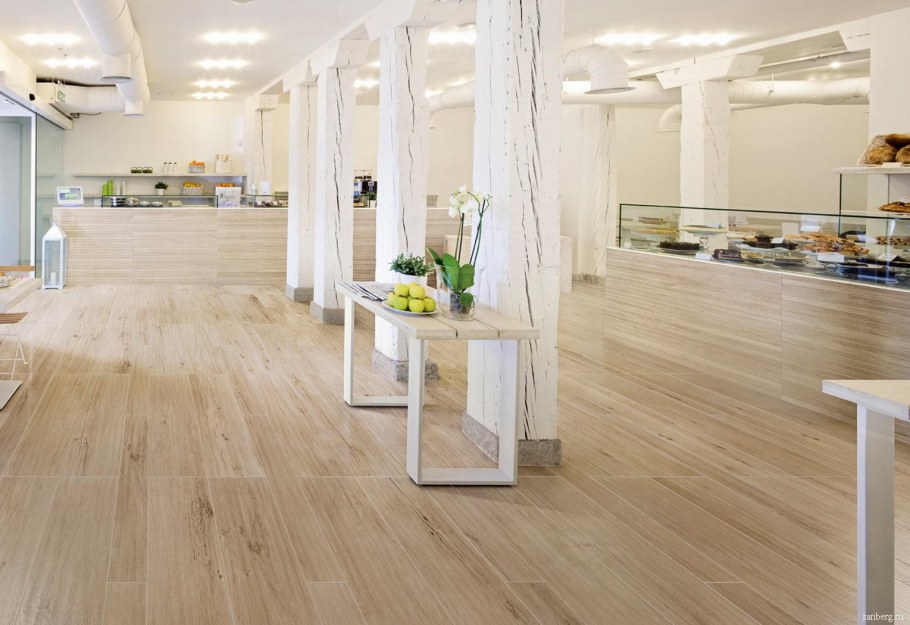 Caesar root vaniglia 20x120