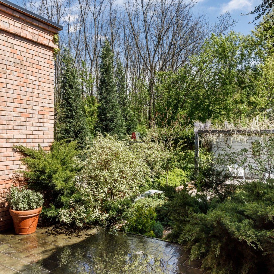 Сад в стиле Фьюжн