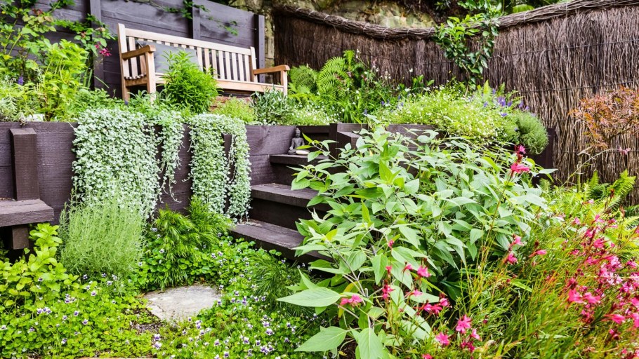 Сад в стиле Фьюжн