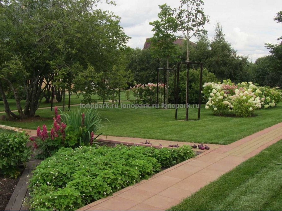 Сад в стиле Фьюжн