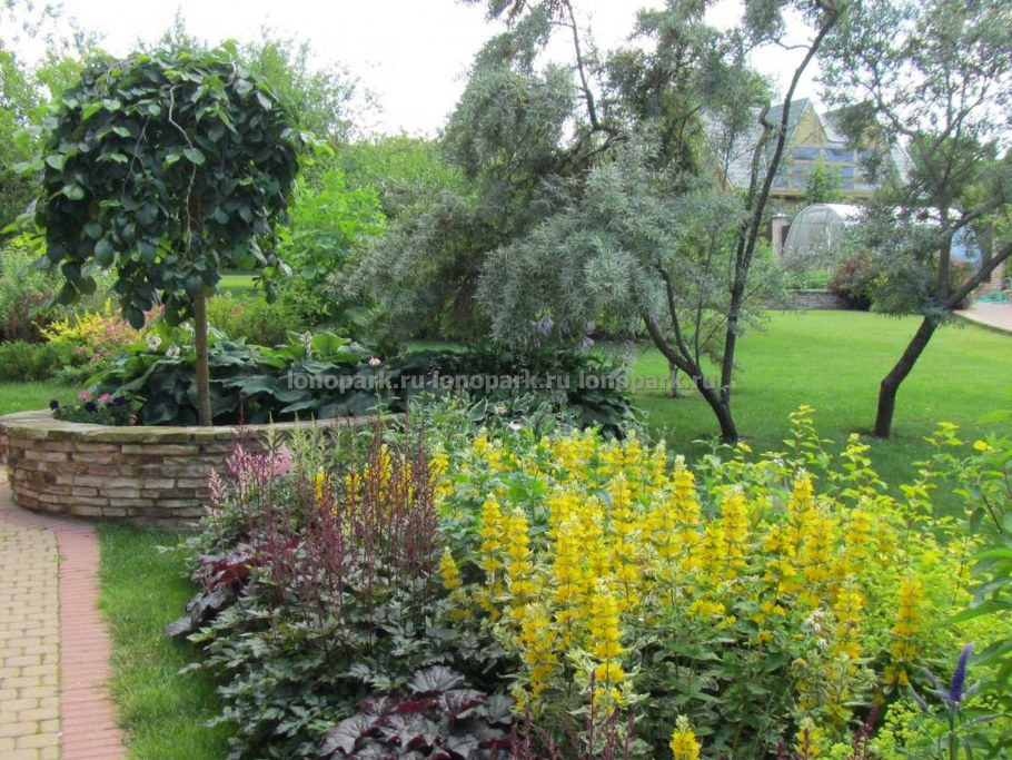 Стиль Фьюжн в ландшафтном дизайне